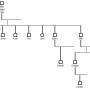 bel-genealogie.jpg